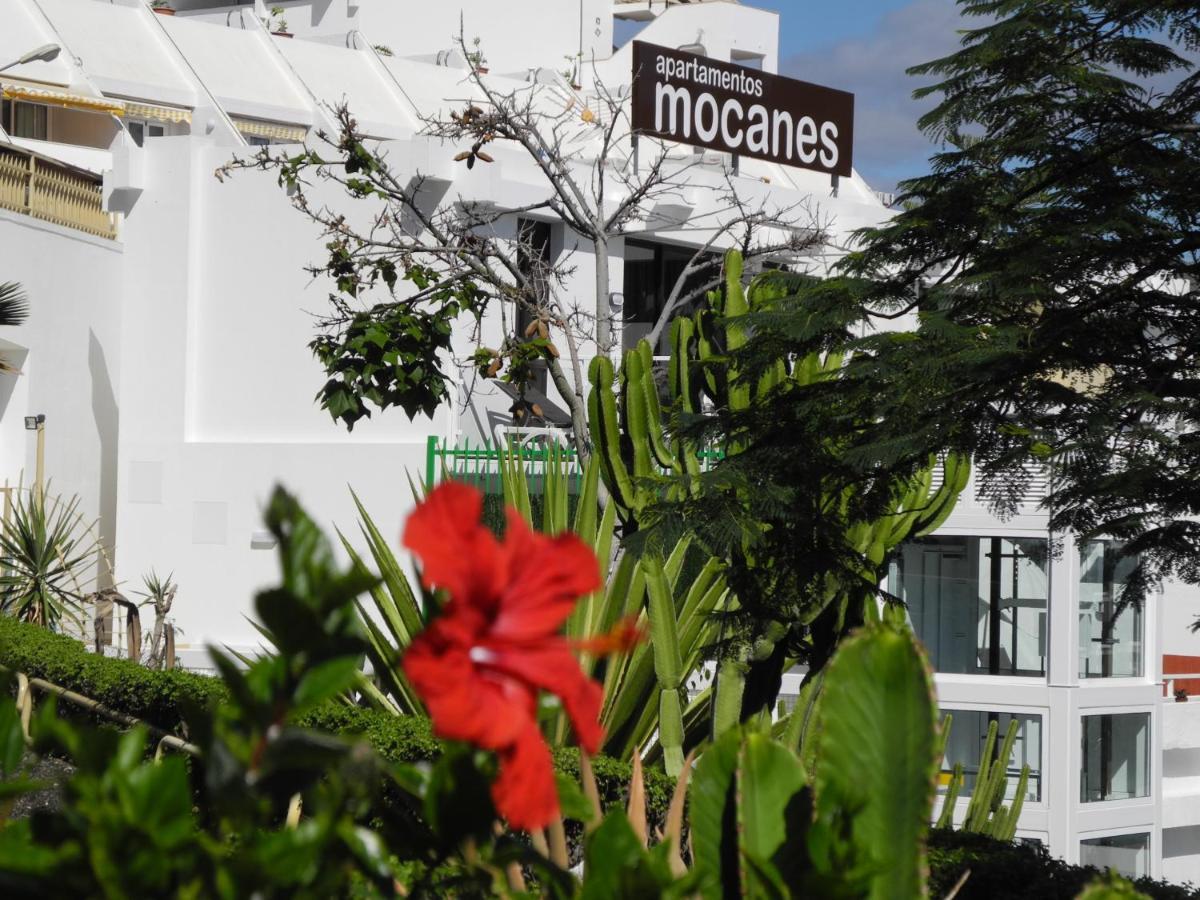 Apartamentos Los Mocanes Puerto Rico  Exteriér fotografie