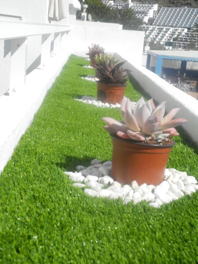 Apartamentos Los Mocanes Puerto Rico  Exteriér fotografie